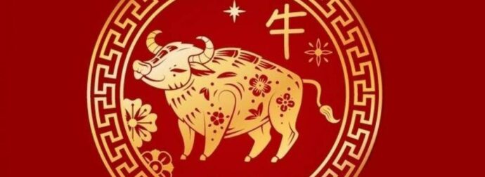 Είσαι Βούβαλος στο Κινέζικο; Πώς και γιατί διαφοροποιείσαι, ανάλογα με το δυτικό ζώδιό σου;