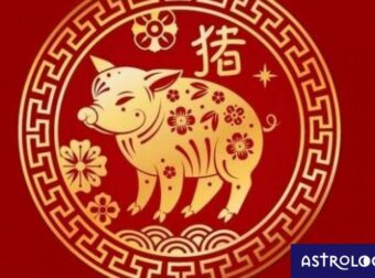Είσαι Χοίρος στο Κινέζικο; Πώς και γιατί διαφοροποιείσαι, ανάλογα με το δυτικό ζώδιό σου;