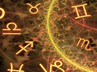 Μοιάζουν φτιαγμένοι από πέτρα – Αυτά είναι τα 4 πιο άκαρδα ζώδια