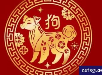 Είσαι Σκύλος στο Κινέζικο; Πώς και γιατί διαφοροποιείσαι, ανάλογα με το δυτικό ζώδιό σου;