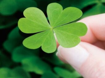 «Αν έχεις τύχη διάβαινε»: Αυτά είναι τα 3 πιο τυχερά ζώδια!