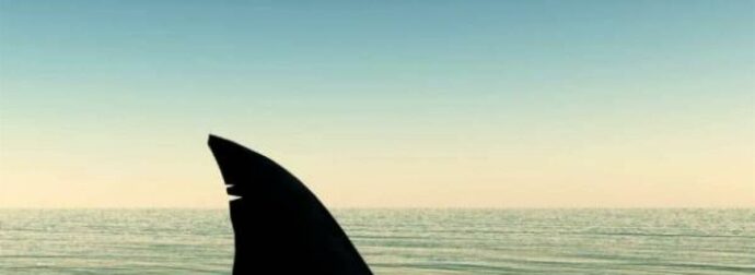 Άρης στους Ιχθύς: Τα… σιγανά ποτάμια να φοβάσαι