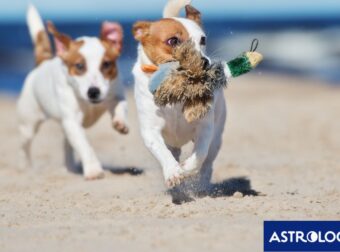 Διάβασε την προσωπική σου πρόβλεψη, για σήμερα 18/07/2025