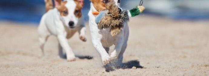 Διάβασε την προσωπική σου πρόβλεψη, για σήμερα 18/07/2025
