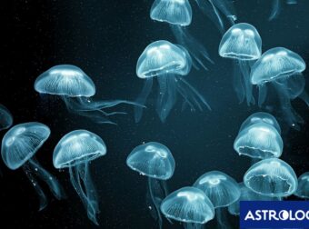 Διάβασε την προσωπική σου πρόβλεψη, για σήμερα 16/07/2025