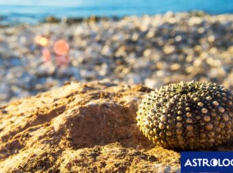 Διάβασε την προσωπική σου πρόβλεψη, για σήμερα 04/07/2025