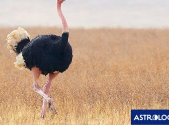 Διάβασε την προσωπική σου πρόβλεψη, για σήμερα 22/07/2025