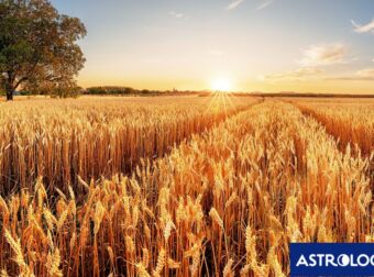 Διάβασε την προσωπική σου πρόβλεψη, για σήμερα 01/07/2025