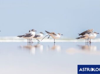 Διάβασε την προσωπική σου πρόβλεψη, για σήμερα 20/07/2025