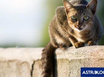 Διάβασε την προσωπική σου πρόβλεψη, για σήμερα 04/08/2025
