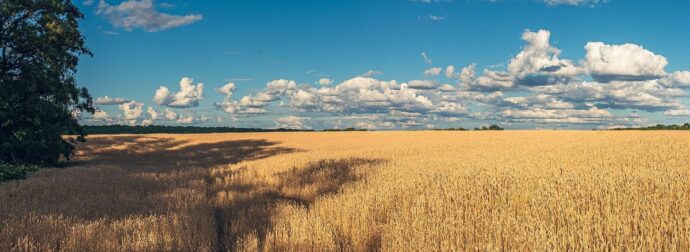 Διάβασε την προσωπική σου πρόβλεψη, για σήμερα 21/08/2025