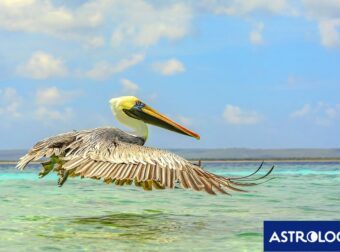 Διάβασε την προσωπική σου πρόβλεψη, για σήμερα 08/08/2025