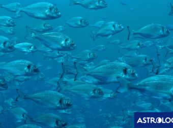 Διάβασε την προσωπική σου πρόβλεψη, για σήμερα 20/08/2025