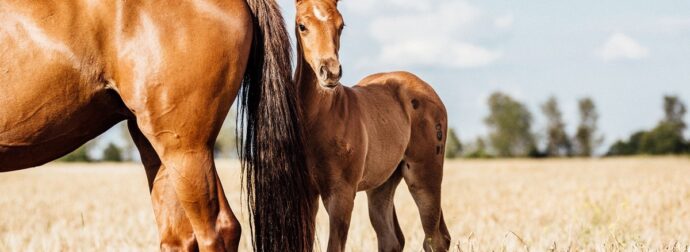Διάβασε την προσωπική σου πρόβλεψη, για σήμερα 14/08/2025