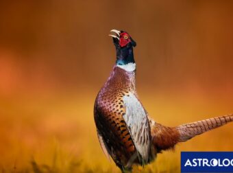 Διάβασε την προσωπική σου πρόβλεψη, για σήμερα 10/08/2025