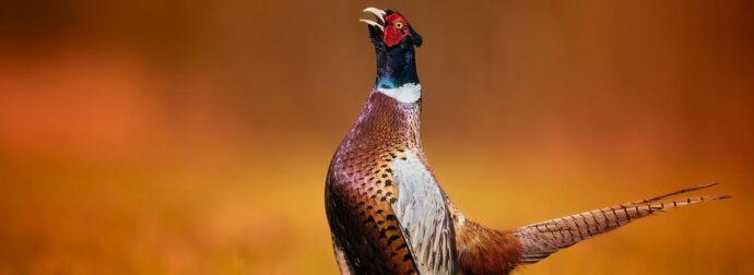 Διάβασε την προσωπική σου πρόβλεψη, για σήμερα 10/08/2025