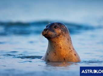 Διάβασε την προσωπική σου πρόβλεψη, για σήμερα 02/08/2025