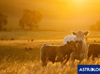 Διάβασε την προσωπική σου πρόβλεψη, για σήμερα 22/08/2025