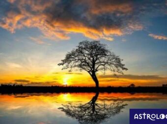 Πώς θα ήταν ο κόσμος, φτιαγμένος από έναν Λέοντα;