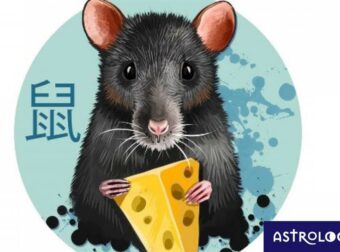 Κινέζικη Αστρολογία: Έτσι είναι ο Ποντικός στα αισθηματικά του