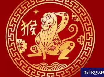 Είσαι Πίθηκος στο Κινέζικο; Πώς και γιατί διαφοροποιείσαι, ανάλογα με το δυτικό ζώδιό σου;