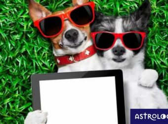 Τα τρία ζώδια που γίνονται πολύ καλοί φίλοι με το ταίρι τους