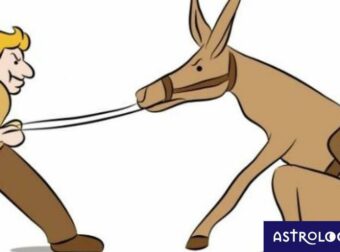 Τα 3 πιο ξεροκέφαλα και τα 2 πιο συμβιβάσιμα ζώδια