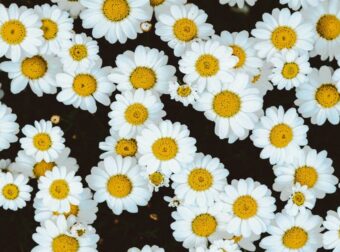 Ζώδια 7/8: Τι προβλέπουν τα άστρα για σήμερα, Πέμπτη;