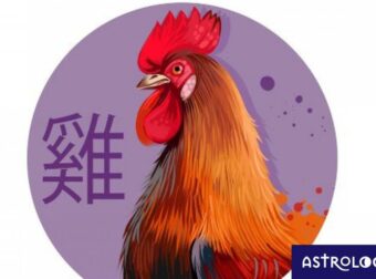 Κινέζικη Αστρολογία: Έτσι είναι ο Πετεινός στα αισθηματικά του
