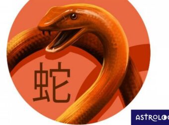 Κινέζικη Αστρολογία: Έτσι είναι το Φίδι στα αισθηματικά του