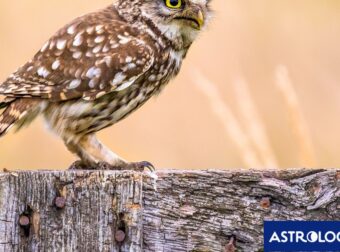 Διάβασε την προσωπική σου πρόβλεψη, για σήμερα 16/08/2025