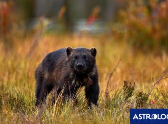 Διάβασε την προσωπική σου πρόβλεψη, για σήμερα 20/09/2025