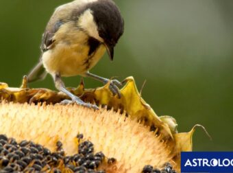 Διάβασε την προσωπική σου πρόβλεψη, για σήμερα 06/09/2025