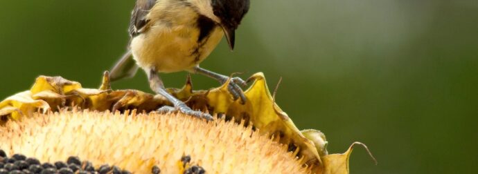 Διάβασε την προσωπική σου πρόβλεψη, για σήμερα 06/09/2025