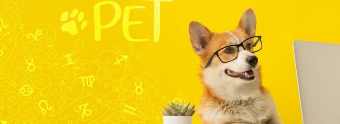 AstroPet από 09/09 έως 15/09: Εβδομαδιαίες προβλέψεις για το κατοικίδιό σου