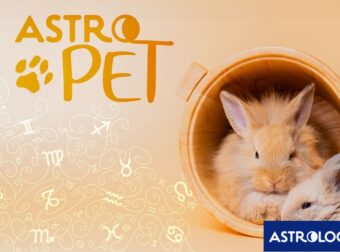 AstroPet από 23/09 έως 29/09: Εβδομαδιαίες προβλέψεις για το κατοικίδιό σου