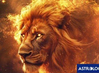 Να πώς θα κάνεις έναν Λέοντα του… χεριού σου