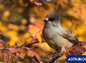 Διάβασε την προσωπική σου πρόβλεψη, για σήμερα 24/09/2025
