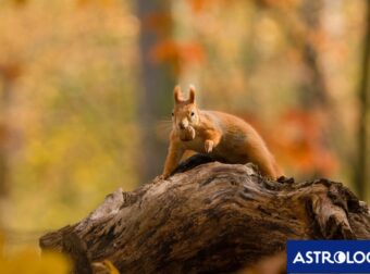 Διάβασε την προσωπική σου πρόβλεψη, για σήμερα 28/09/2025