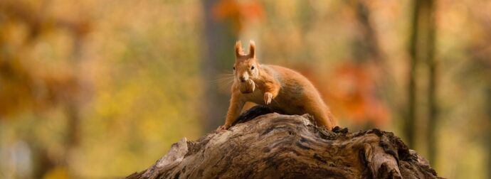 Διάβασε την προσωπική σου πρόβλεψη, για σήμερα 28/09/2025