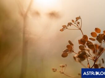 Διάβασε την προσωπική σου πρόβλεψη, για σήμερα 21/09/2025