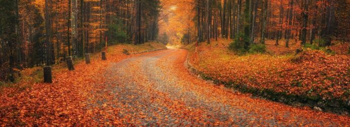 Διάβασε την προσωπική σου πρόβλεψη, για σήμερα 25/09/2025