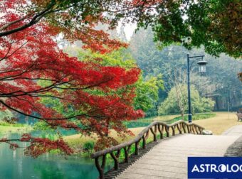 Κινέζικο Ωροσκόπιο 2025: Προβλέψεις των ζωδίων από  21/09 έως 21/10