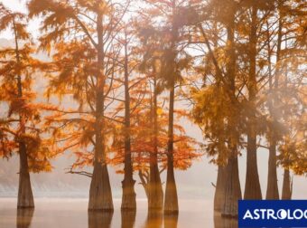 Διάβασε την προσωπική σου πρόβλεψη, για σήμερα 11/09/2025