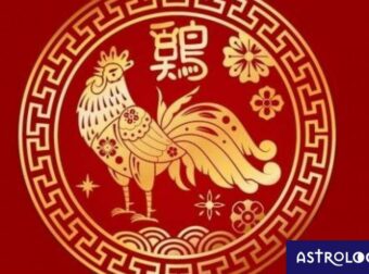 Είσαι Πετεινός στο Κινέζικο; Πώς και γιατί διαφοροποιείσαι, ανάλογα με το δυτικό ζώδιό σου;