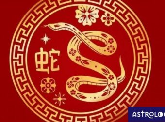 Είσαι Φίδι στο Κινέζικο; Πώς και γιατί διαφοροποιείσαι, ανάλογα με το δυτικό ζώδιό σου;