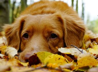 Αυτά είναι τα τρία ζώδια που ευνοούνται σήμερα, Τρίτη 30/9