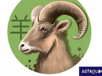 Κινέζικη Αστρολογία: Έτσι είναι το Πρόβατο στα αισθηματικά του