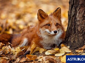 Διάβασε την προσωπική σου πρόβλεψη, για σήμερα 30/09/2025