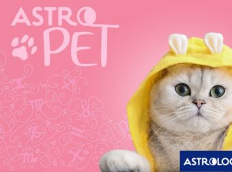 AstroPet από 16/09 έως 22/09: Εβδομαδιαίες προβλέψεις για το κατοικίδιό σου